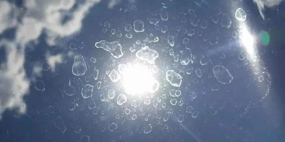 1706000135 What are the common causes of water spots and how does a Water Spot Remover work