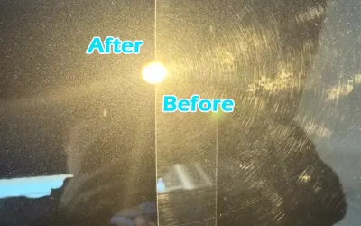Chemical Guys Polish Compound vs SYBON: Premium Paint Correction at Unbeatable Value
